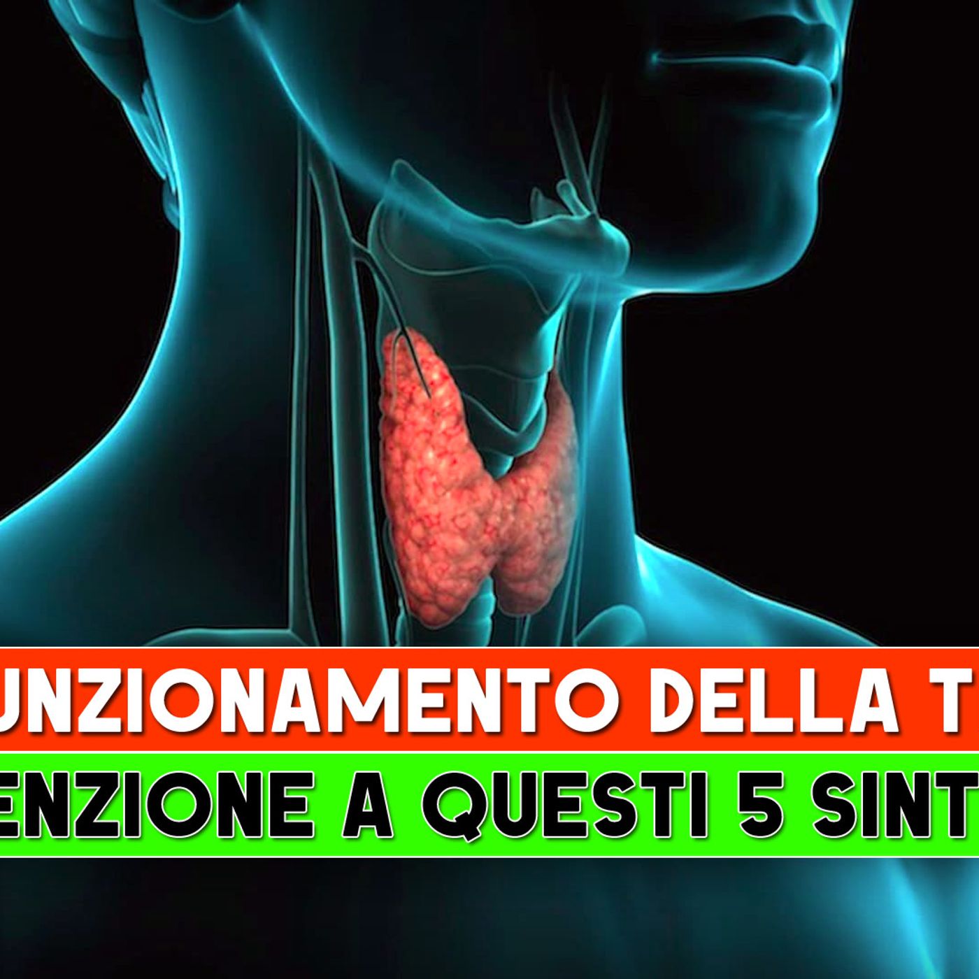Malfunzionamento Della Tiroide: Attenzione A Questi 5 Sintomi! episode artwork