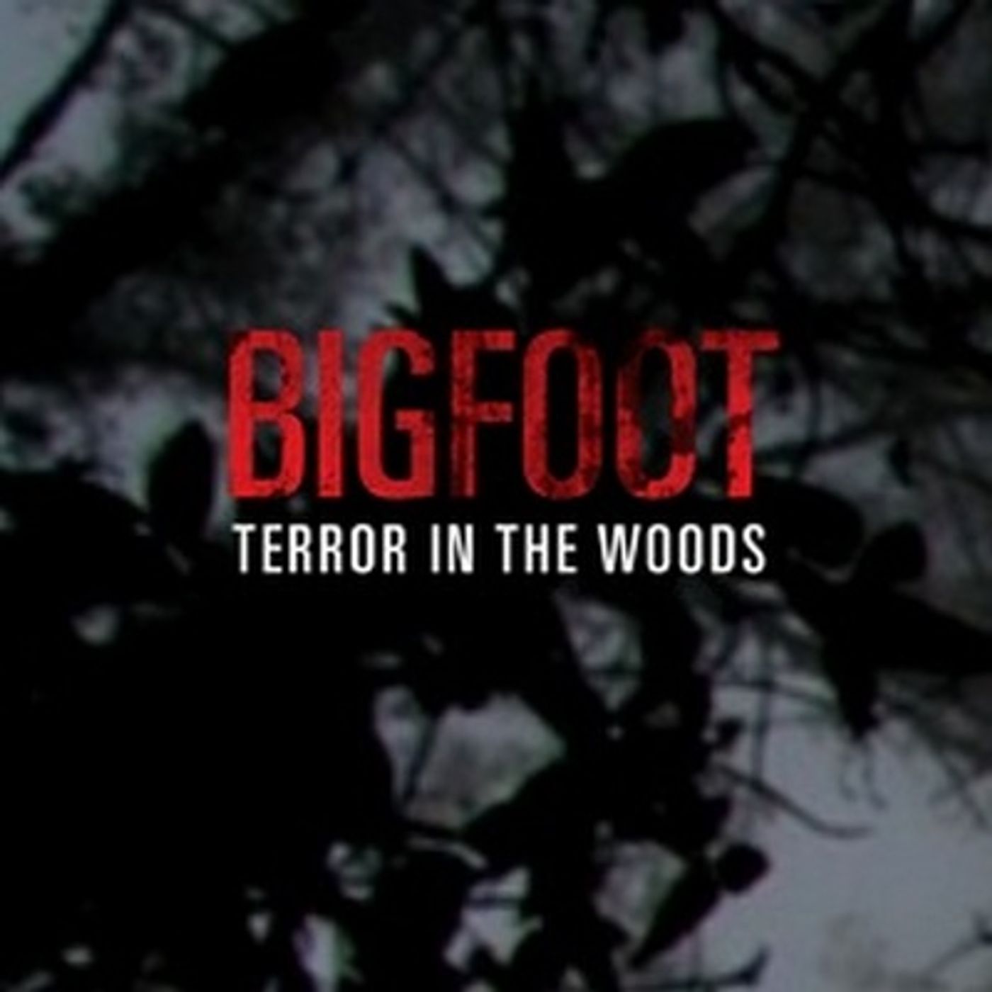 Bigfoot - Terror in the Woods