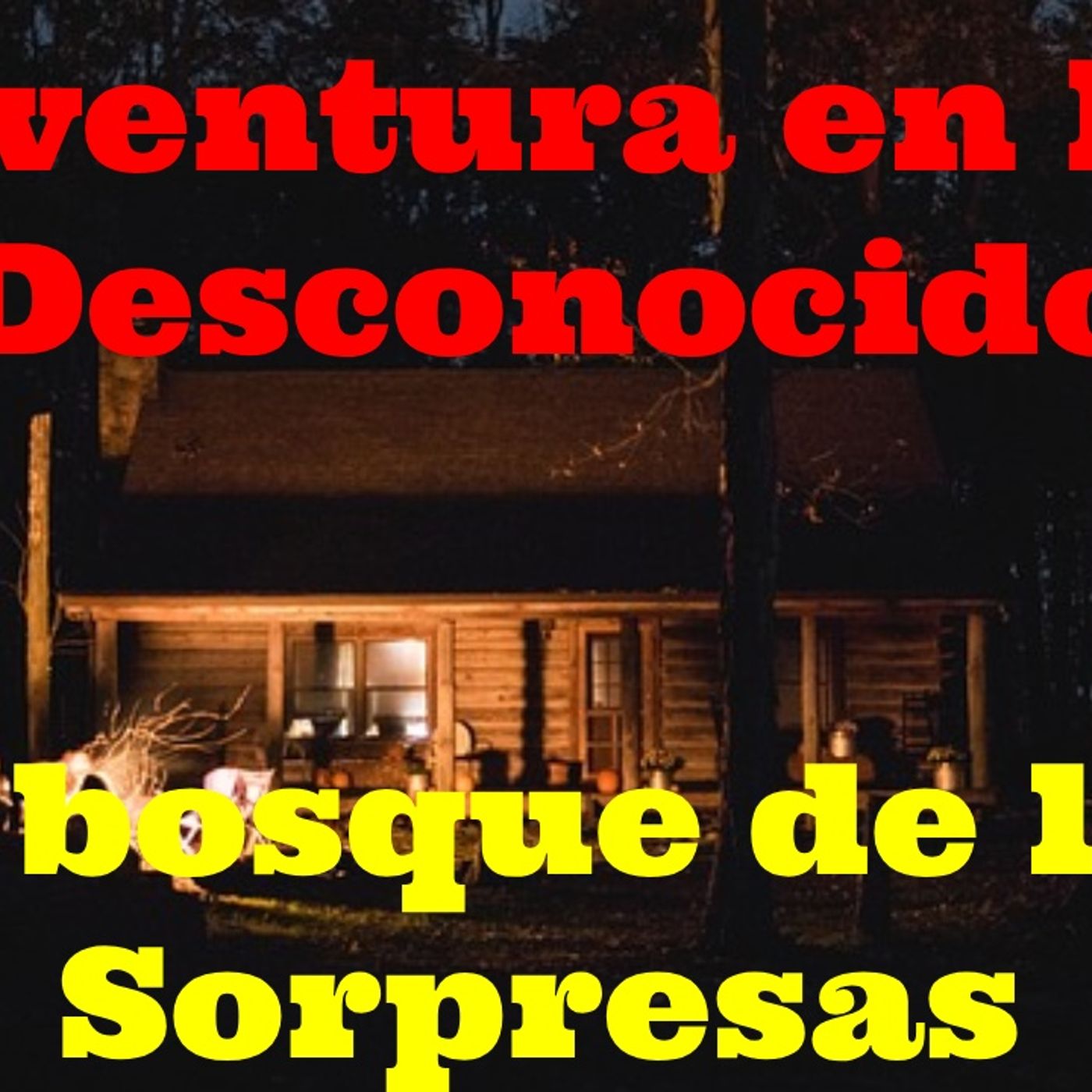 Bosque Digital Radio, La mejor Musica