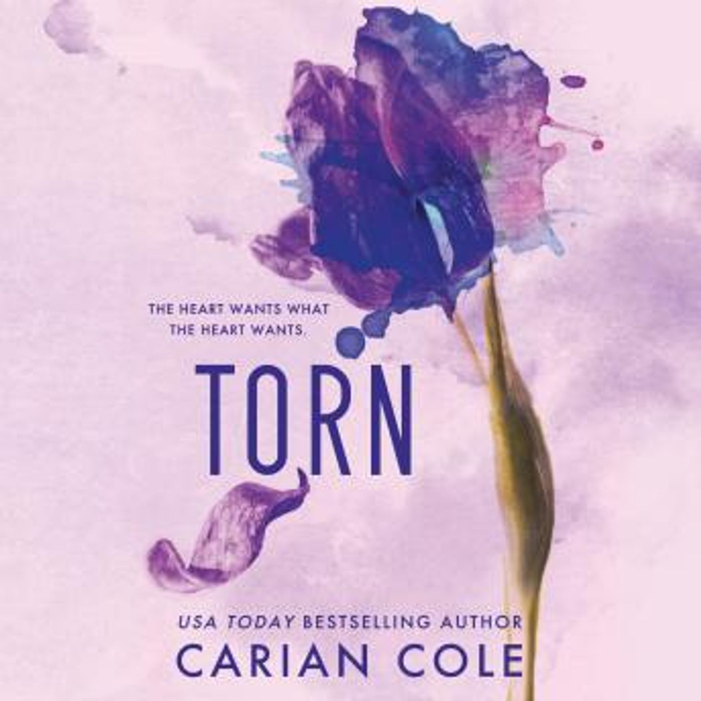 Discover the Best Audio Stories in Romance, Modern