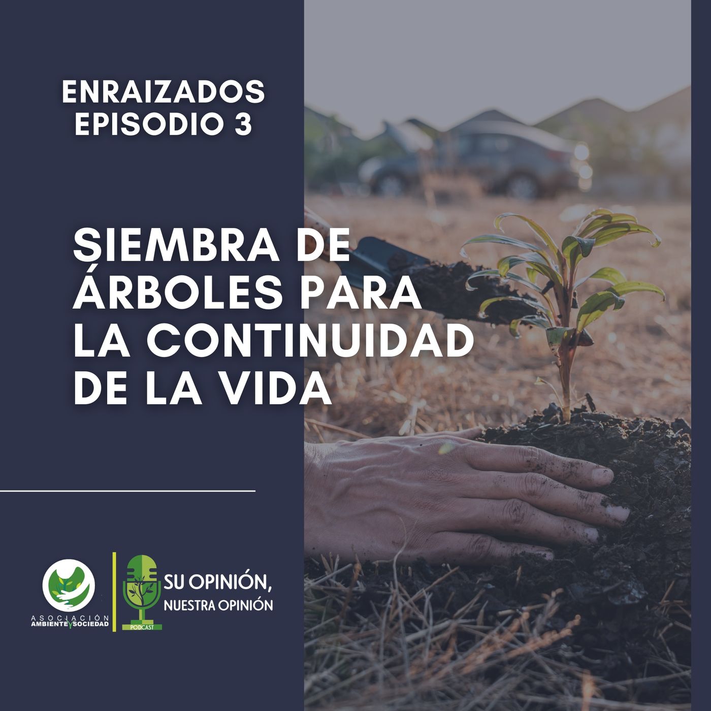 Ambiente y Sociedad
