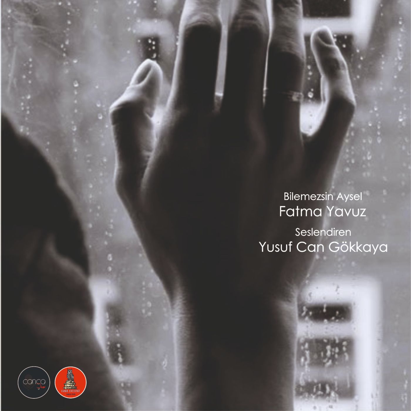 Öykü | Fatma Yavuz - Bilemezsin Aysel episode artwork
