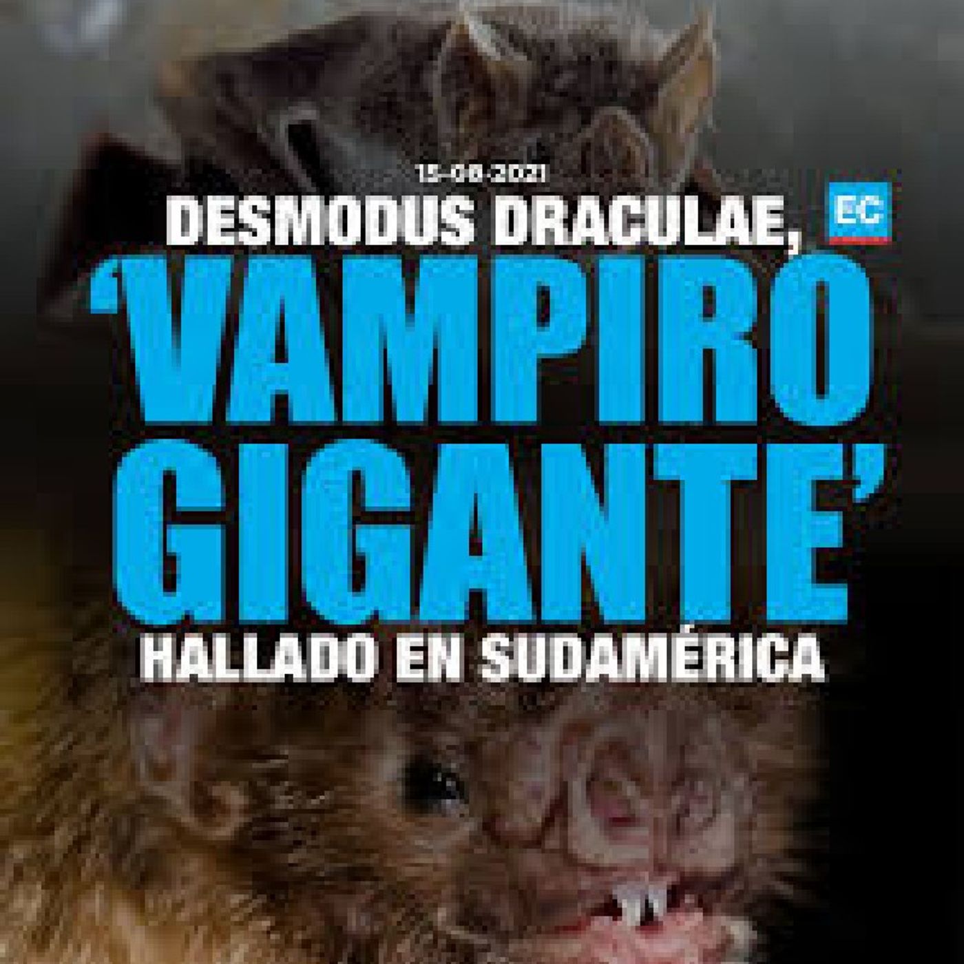 O vampiro gigante episode artwork