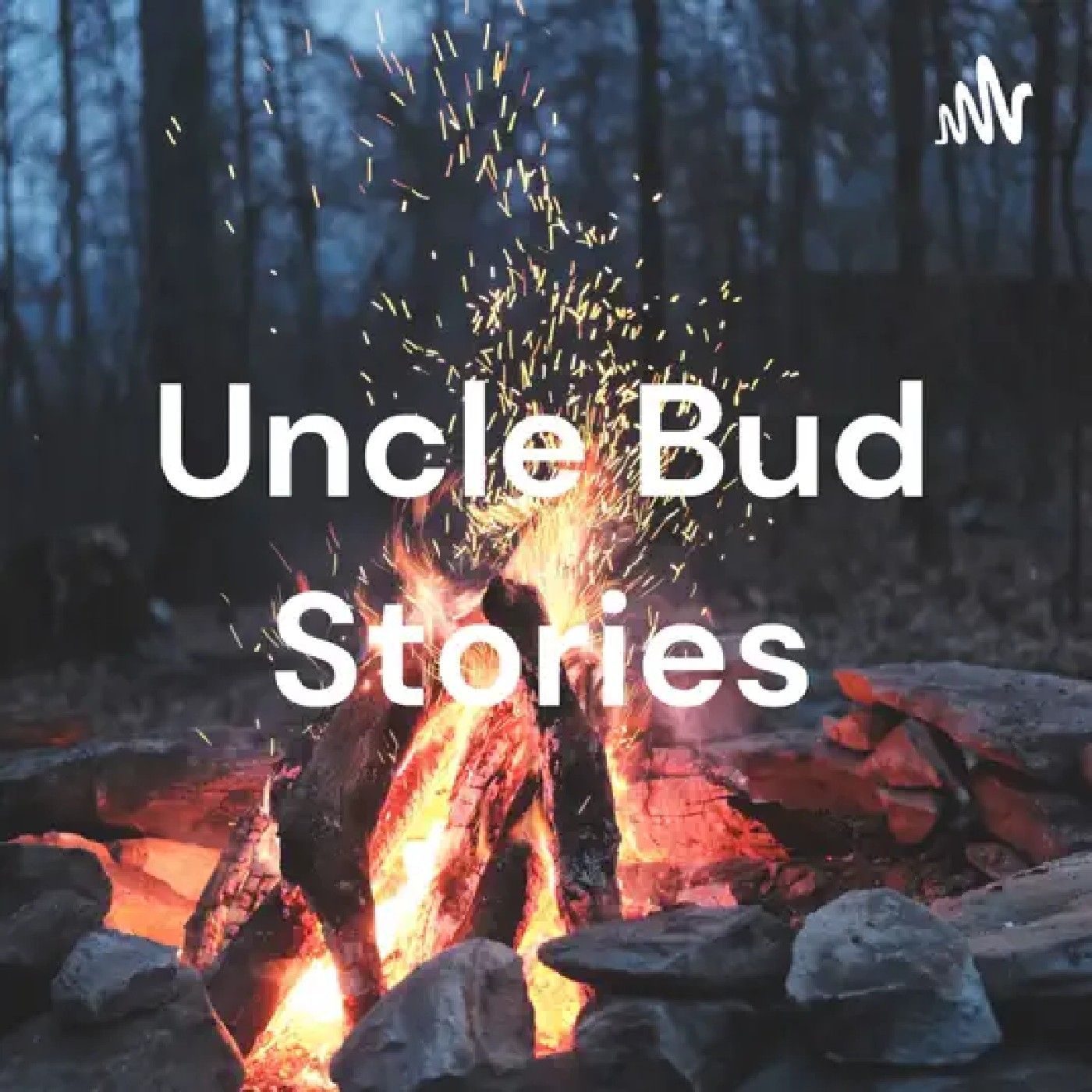UNCLE BUD STORIES