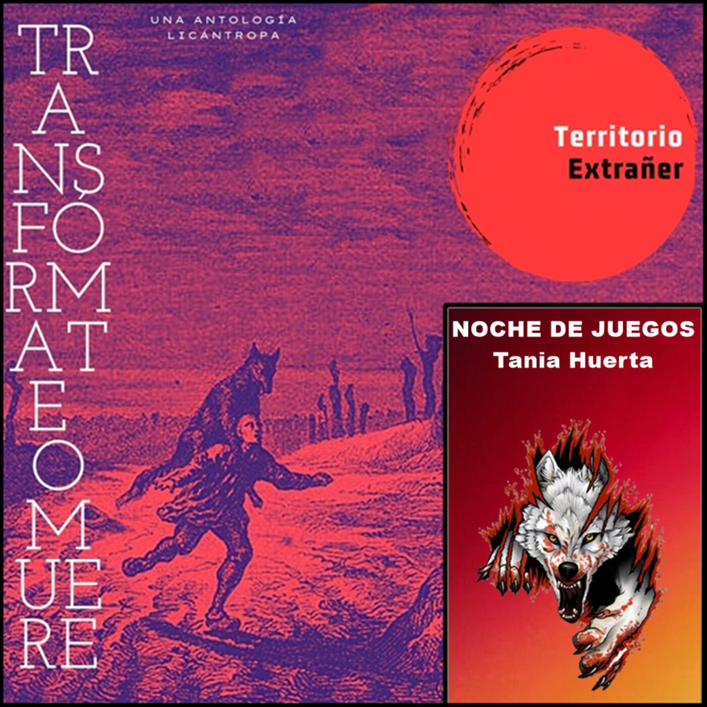 Territorio Extrañer