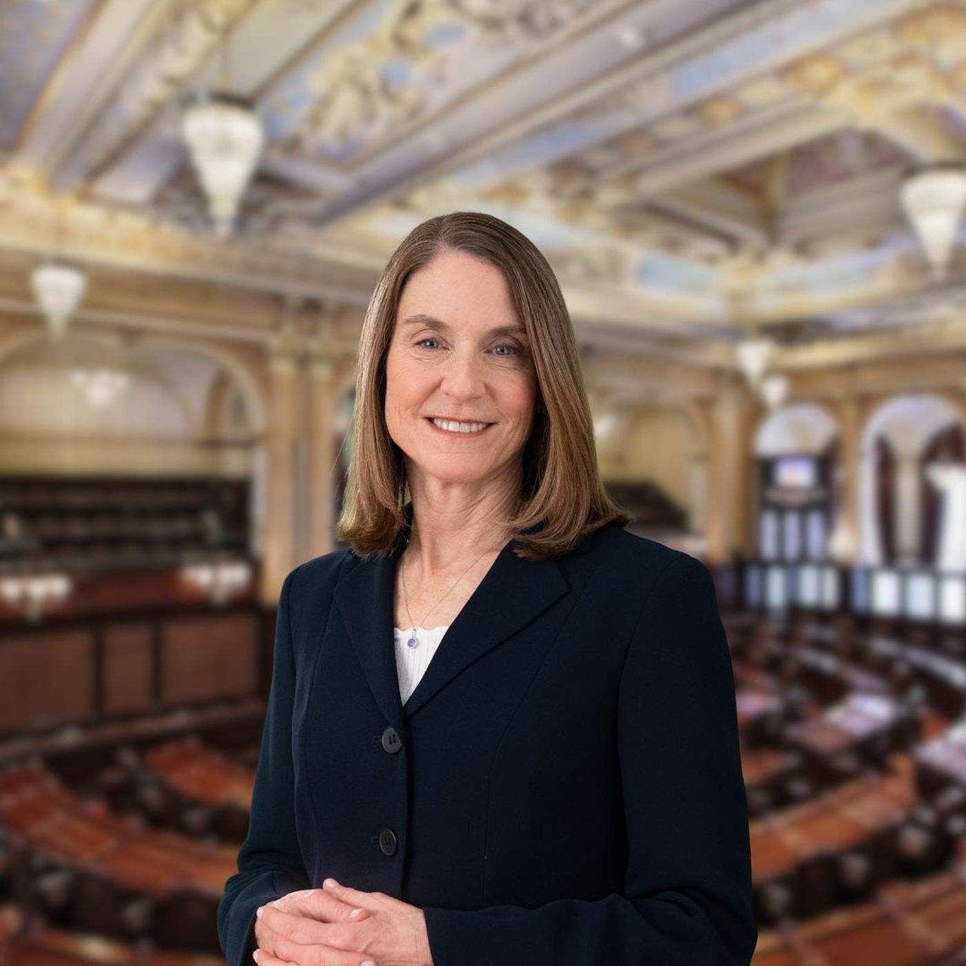 2026 Election Questionnaire:  Laura Fine, U.S. House of Representatives, 9th District episode artwork