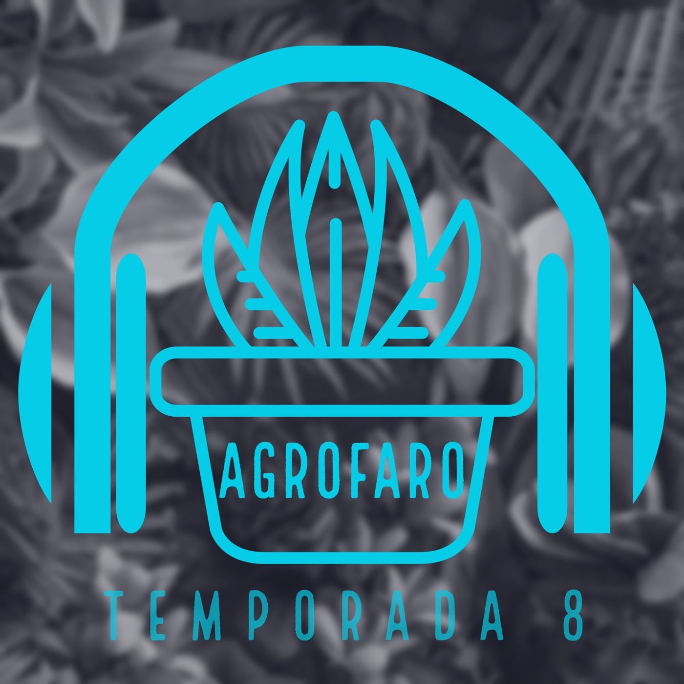 AGROFARO RADIO podcast