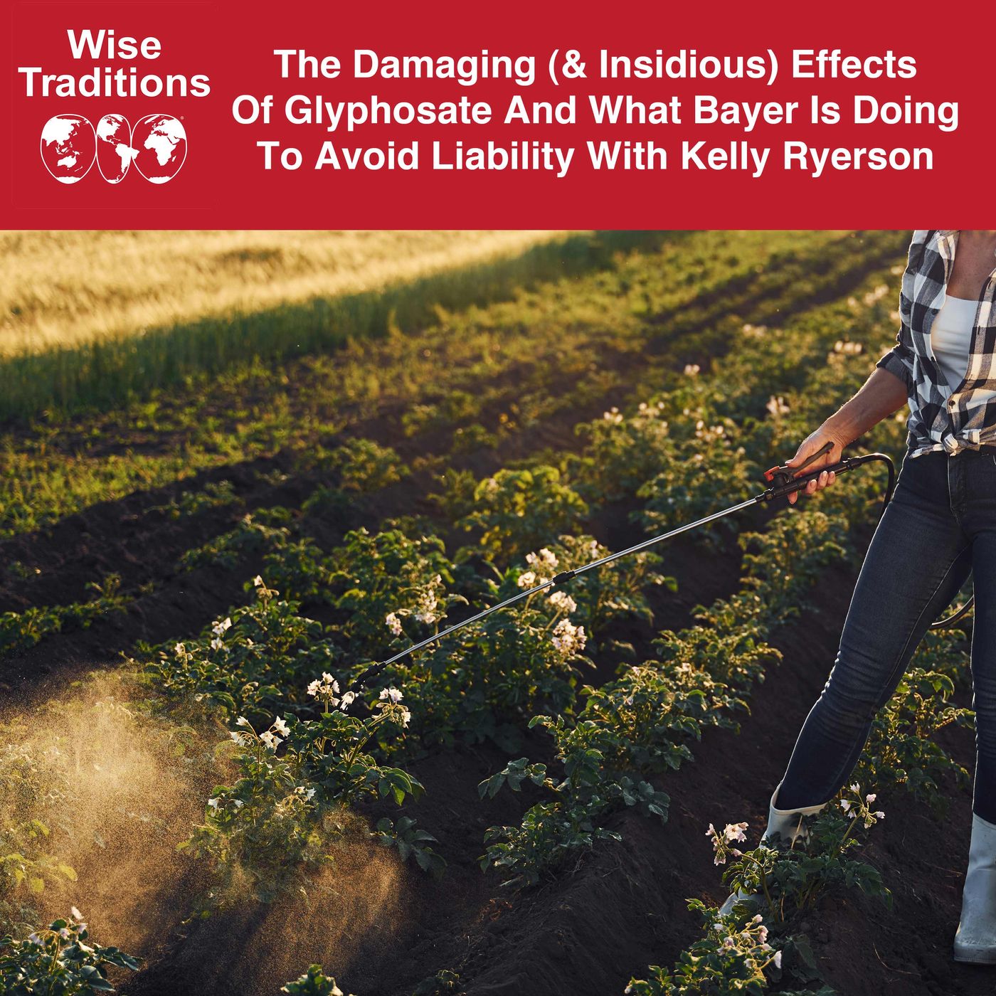526: The Damaging (& Insidious) Effects of Glyphosate and What Bayer is Doing to Avoid Liability with Kelly Ryerson