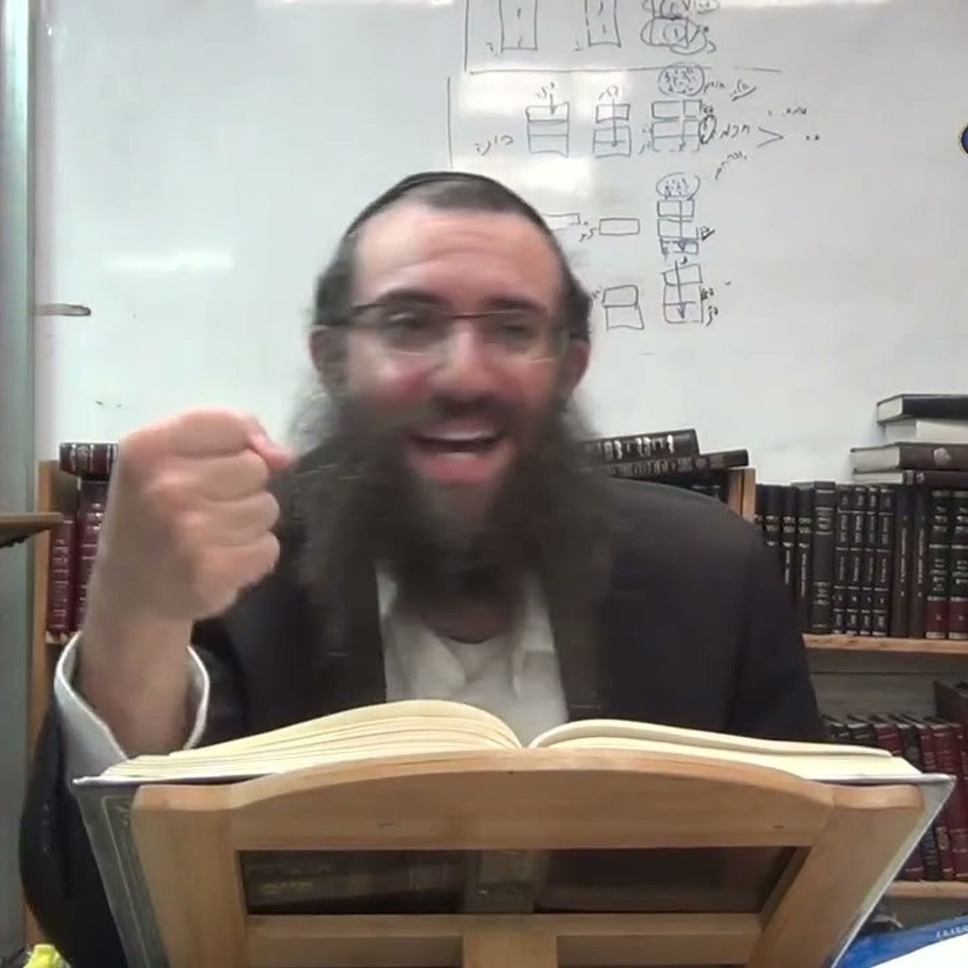 שער הנקודים פ''ח חלק 6 | למה הוזכרו שמות האבות רק ב-ד' מלכים בלבד  | אוצרות חיים למתחילים episode artwork