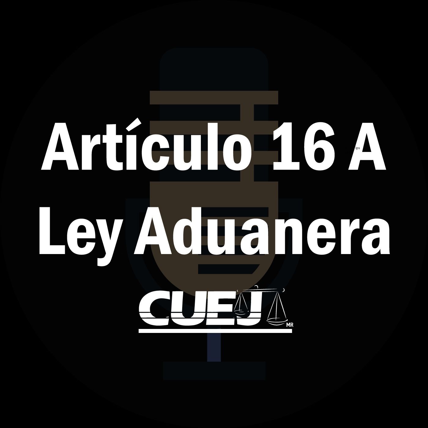 Audio Ley Aduanera