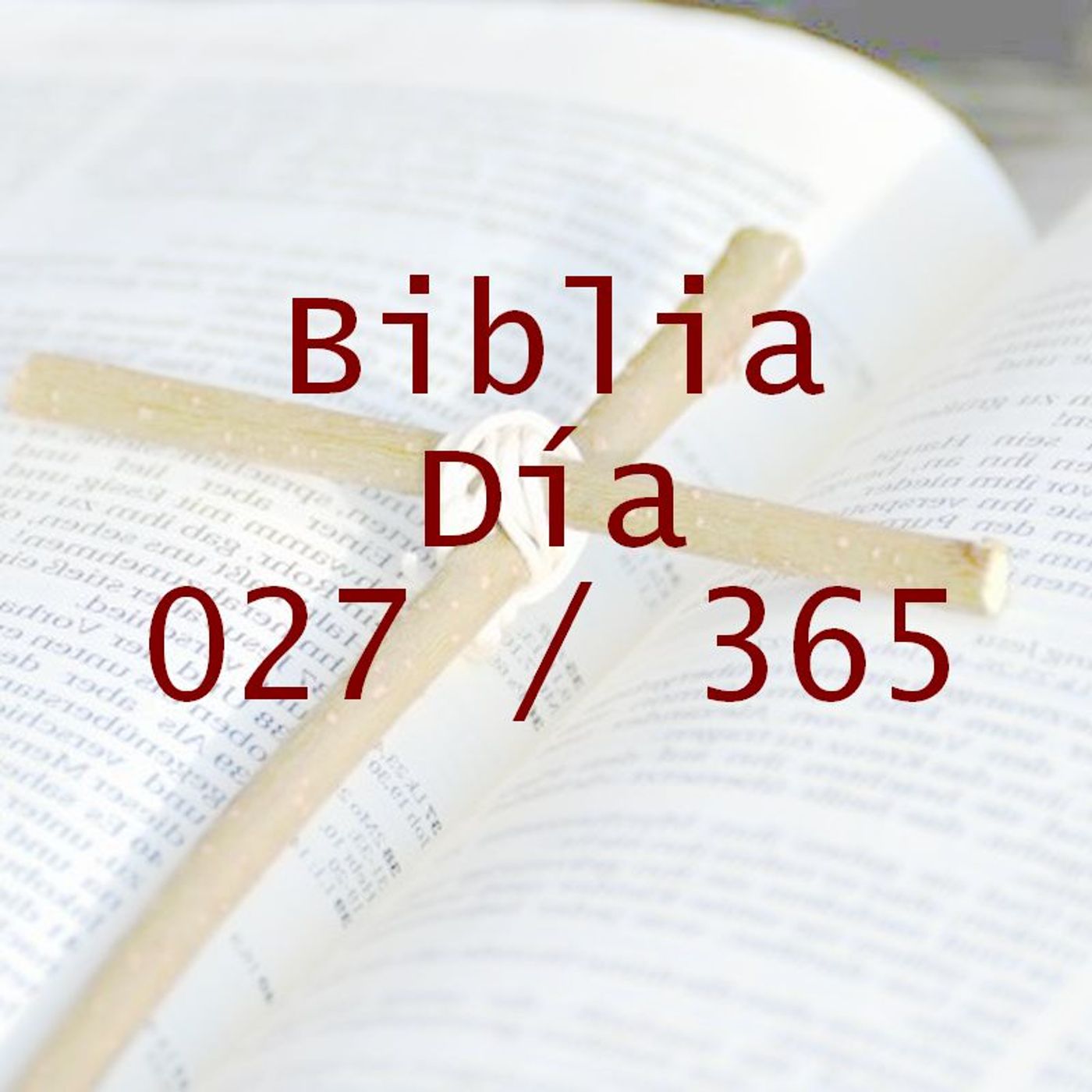 La Biblia en 365 dias