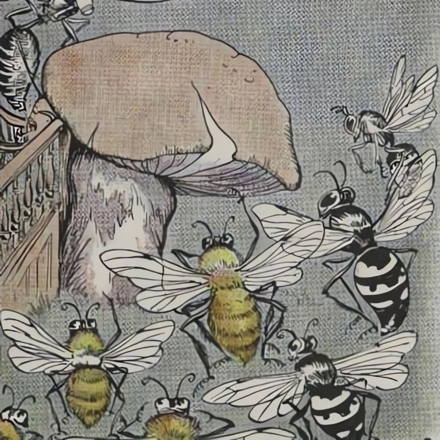 De Bijen, de Wespen en de Horzel | Aesopus Fabels episode artwork
