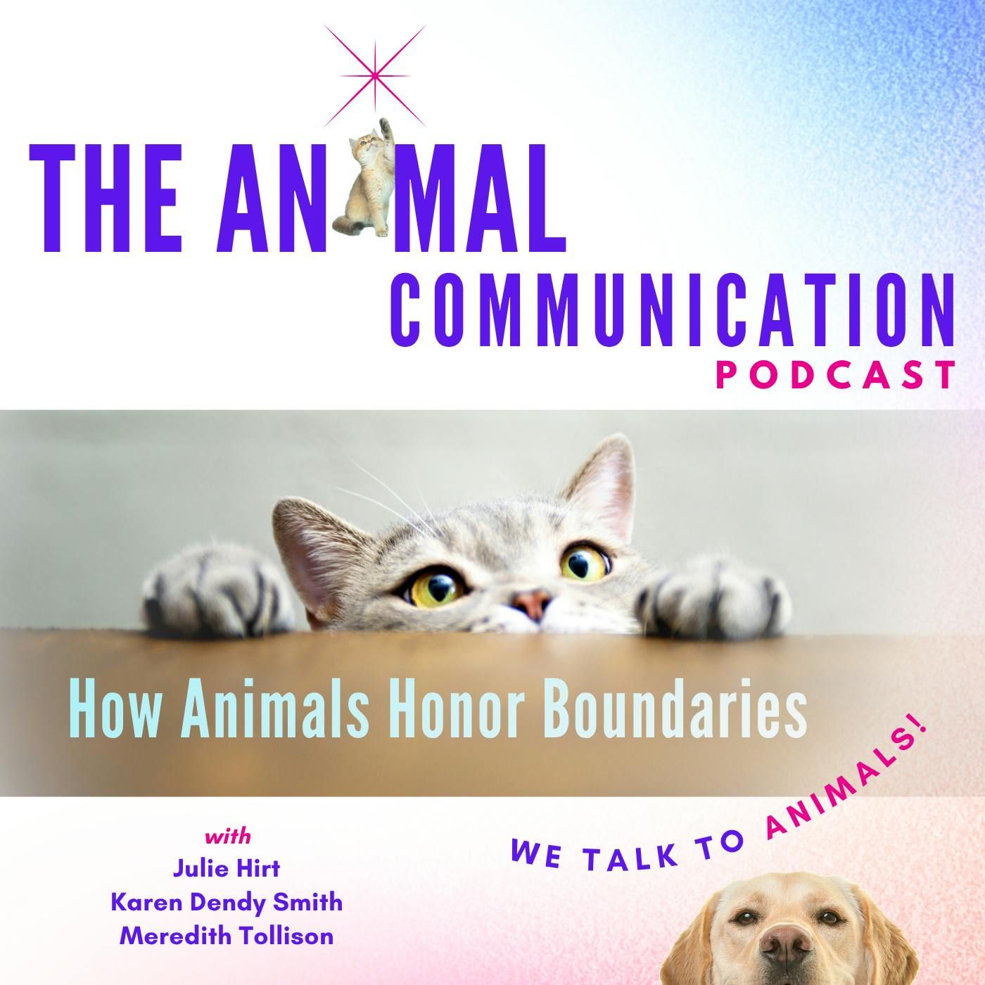 How Animals Honor Boundaries episode artwork