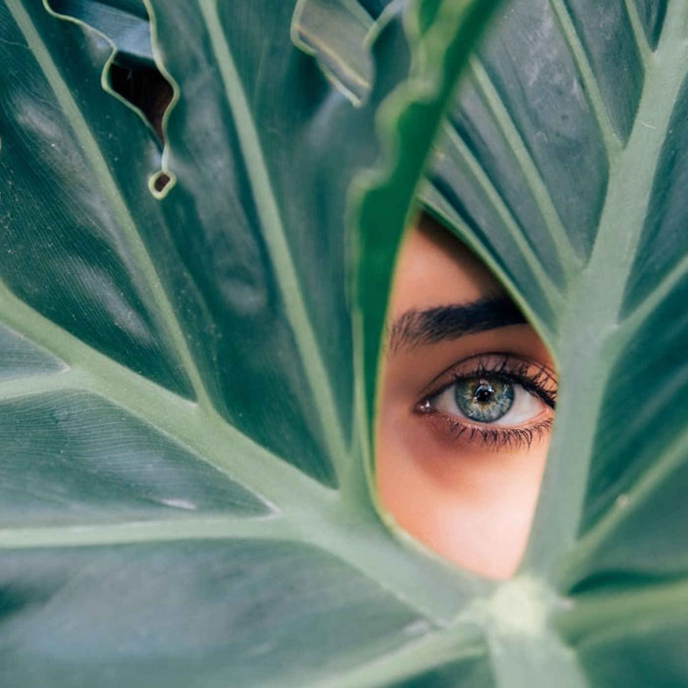 Pop-up Green: moda e sostenibilità senza greenwashing