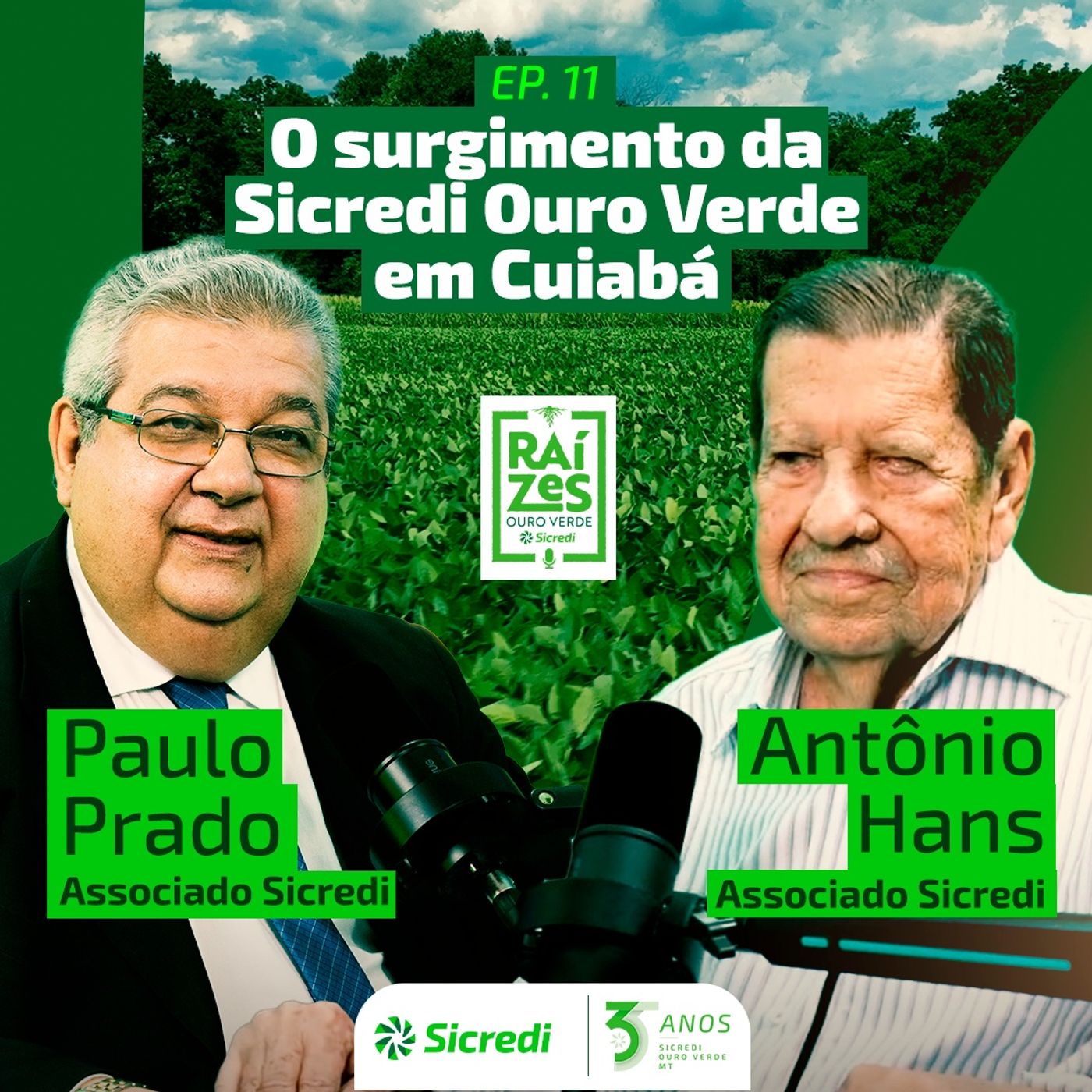Raízes Ouro Verde