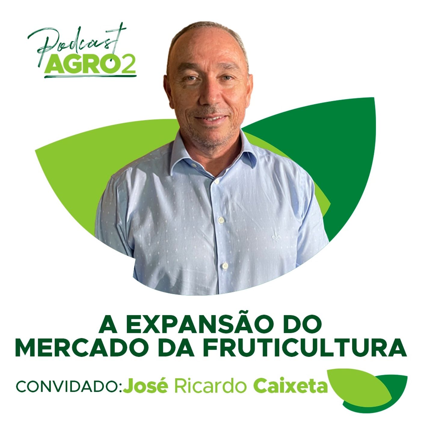 Mercado da fruticultura abre oportunidades para o produtor rural #157 episode artwork