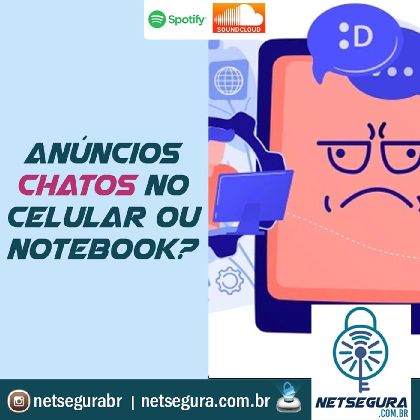 NetSegura - Segurança Digital