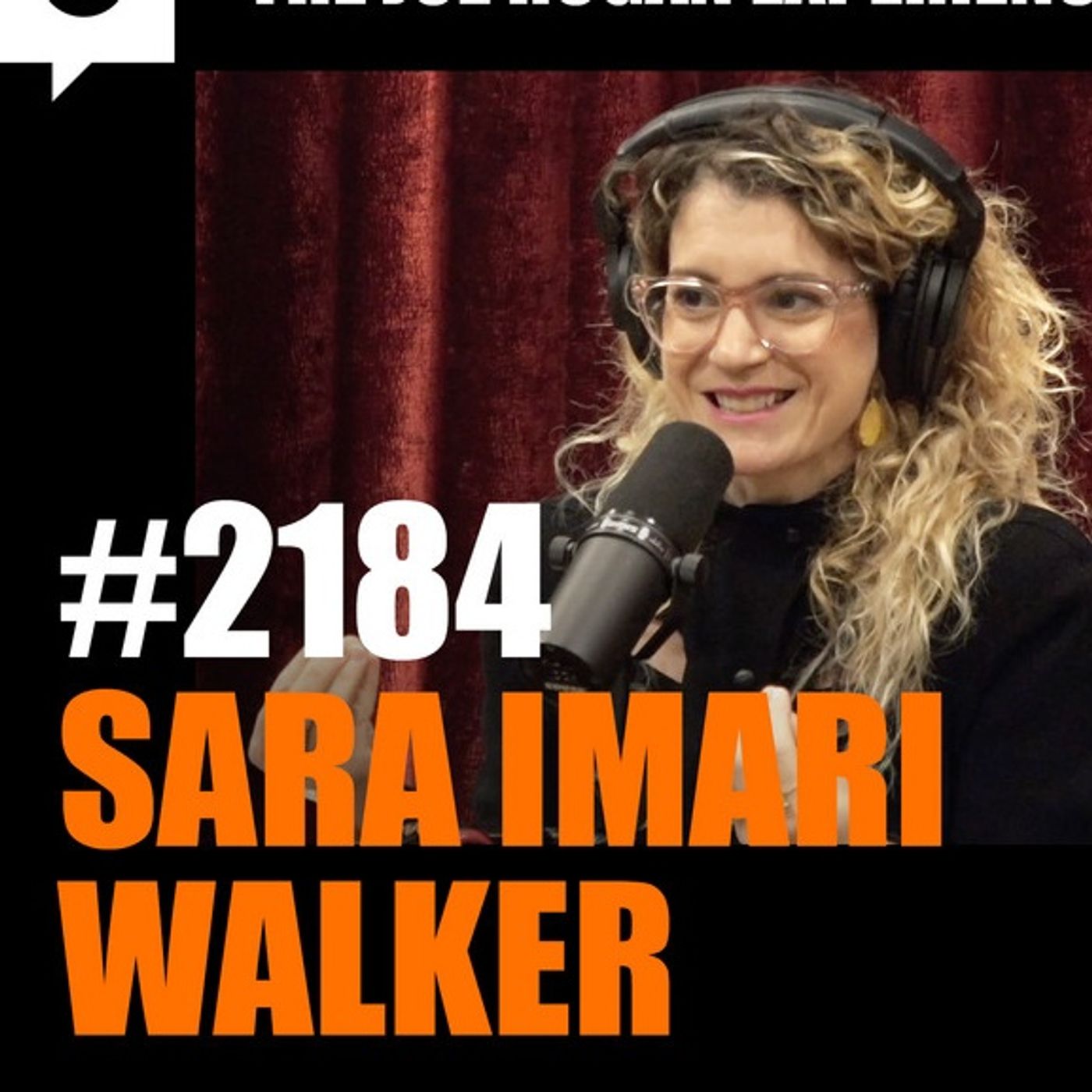 Joe Rogan Experience #2184 - Sara Imari Walker