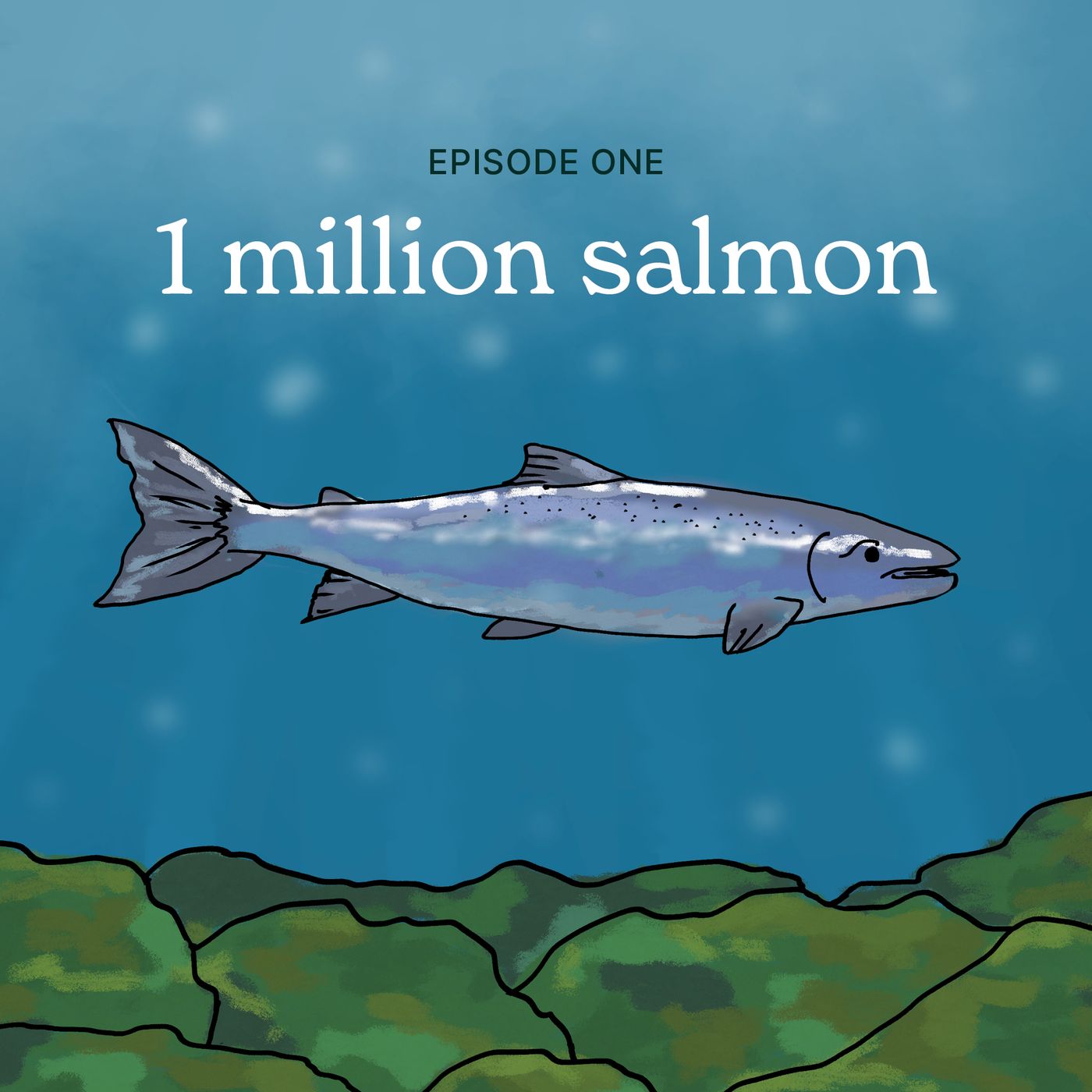 Season 2, Episode 1: 1 Million Salmon