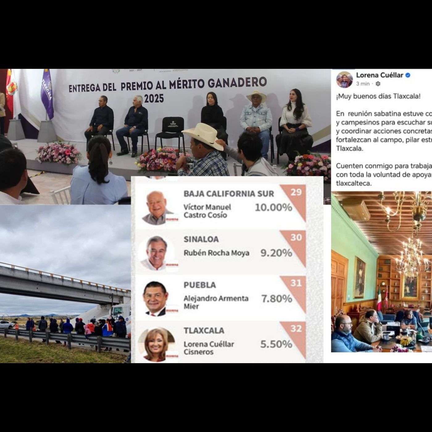 “LA REINA DEL CAMPO DE CARTÓN”