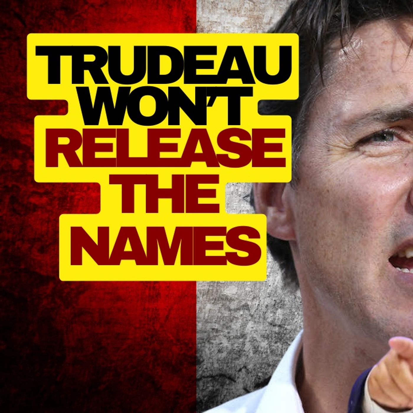Trudeau Liberals Refuse To Release Names Of MPs Who Conspired With Foreign Govs episode artwork