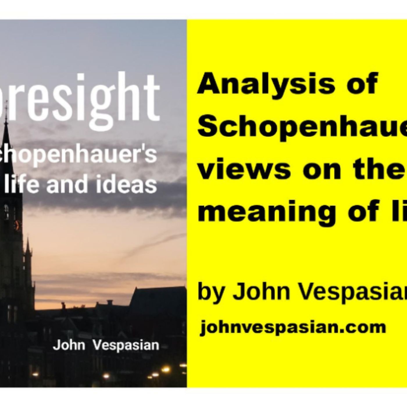 Analysis of Schopenhauer’s views on the meaning of life episode artwork