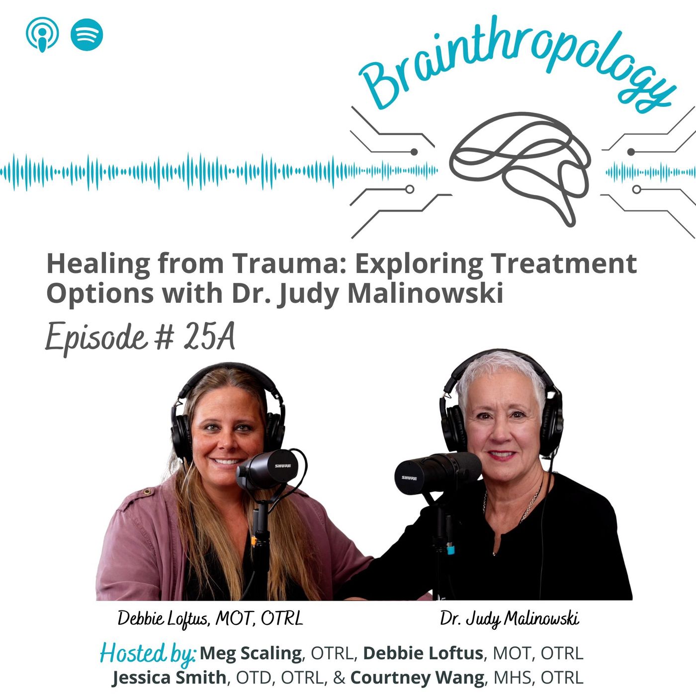 Brainthropology