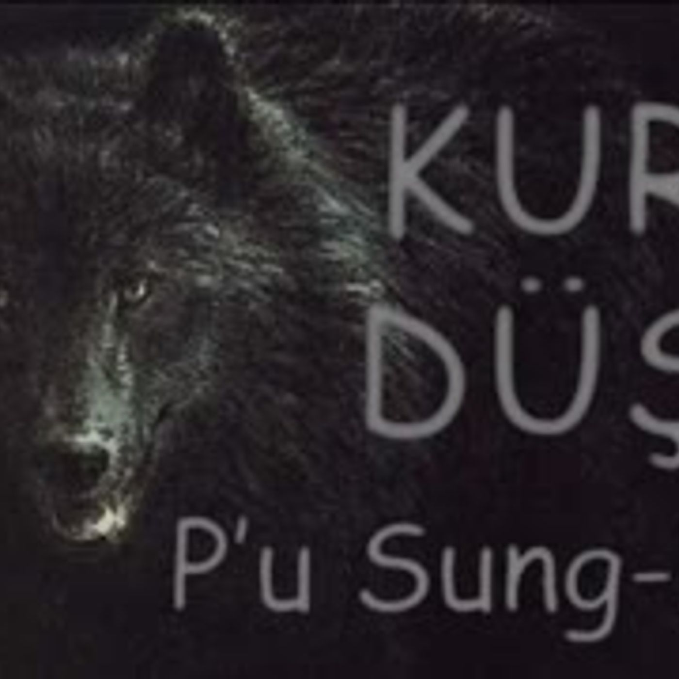 Kitap Okumaları