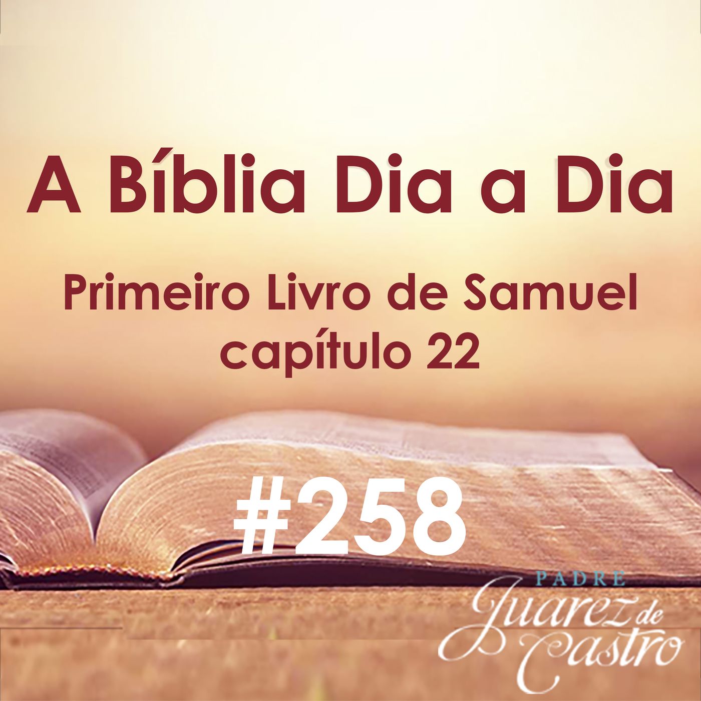 Curso Bíblico Padre Juarez