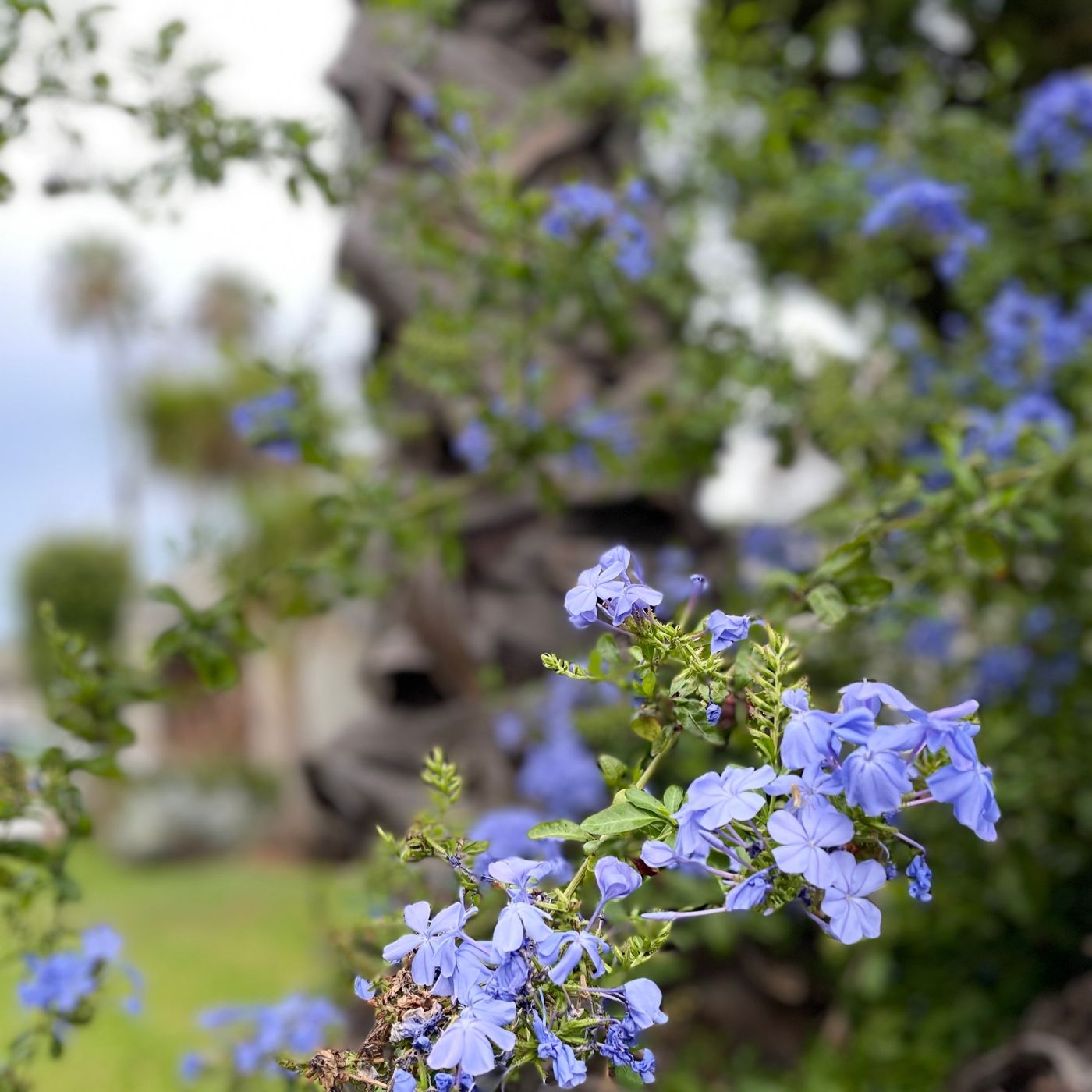 Think About The Kingdom