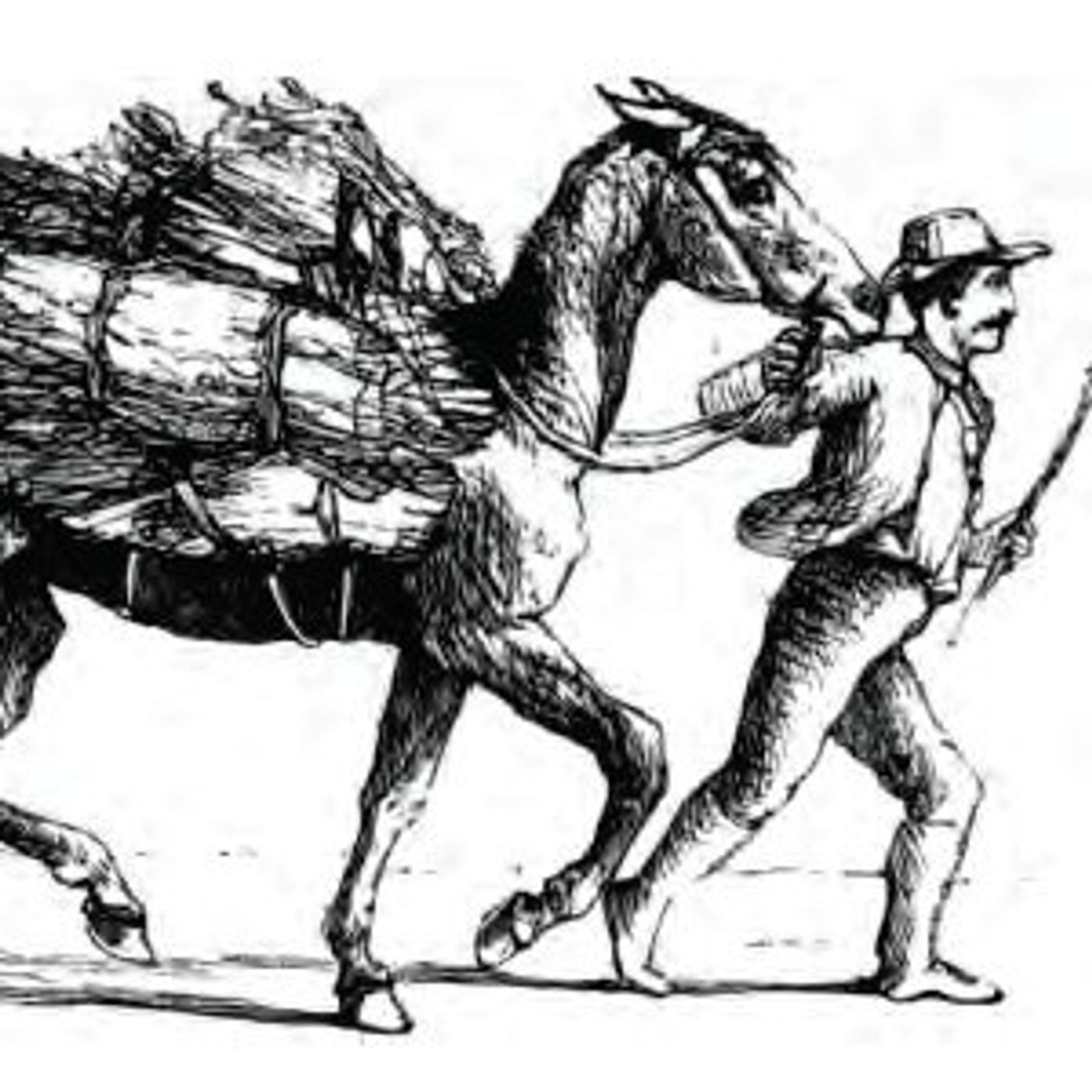The Horse And His Rider episode artwork