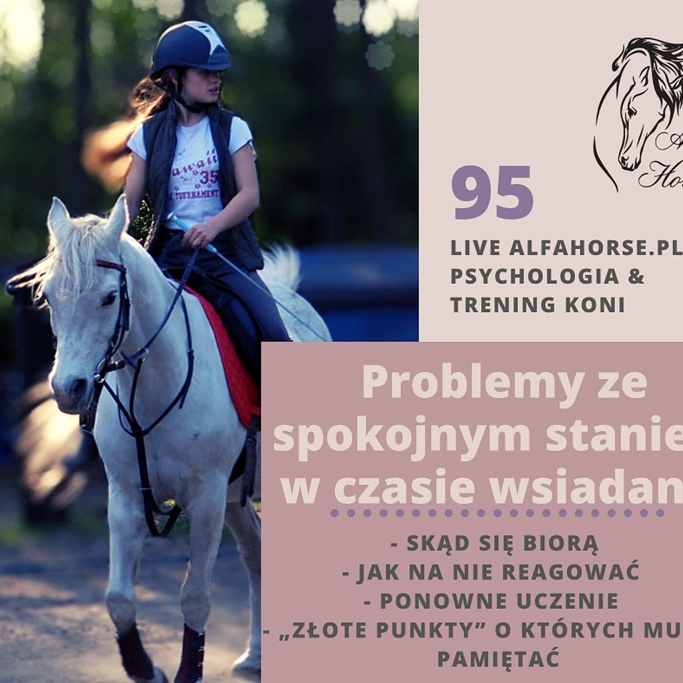 Live 95: Problemy ze spokojnym staniem podczas wsiadania episode artwork
