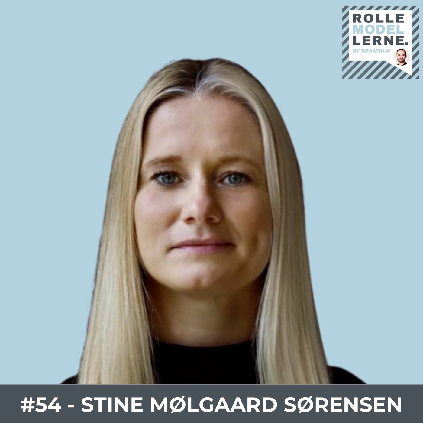 Rollemodellerne by Bjørn Vestergaard