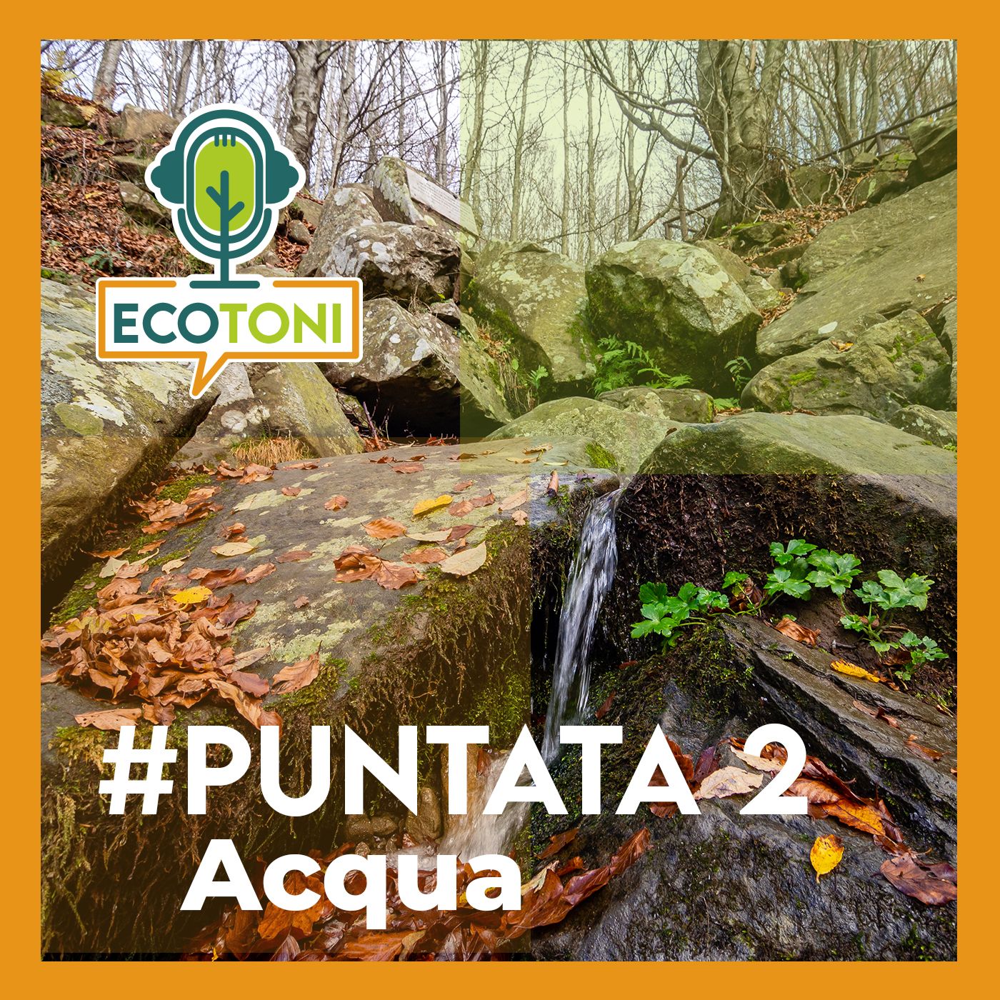 ECOTONI
