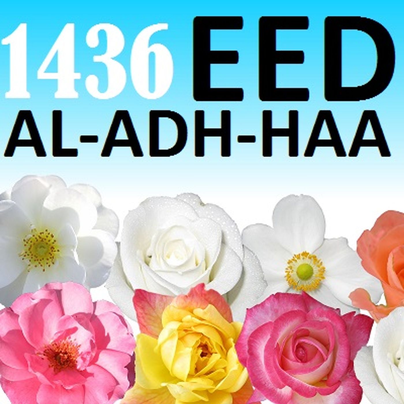 Friday Sermons (Khutbahs)