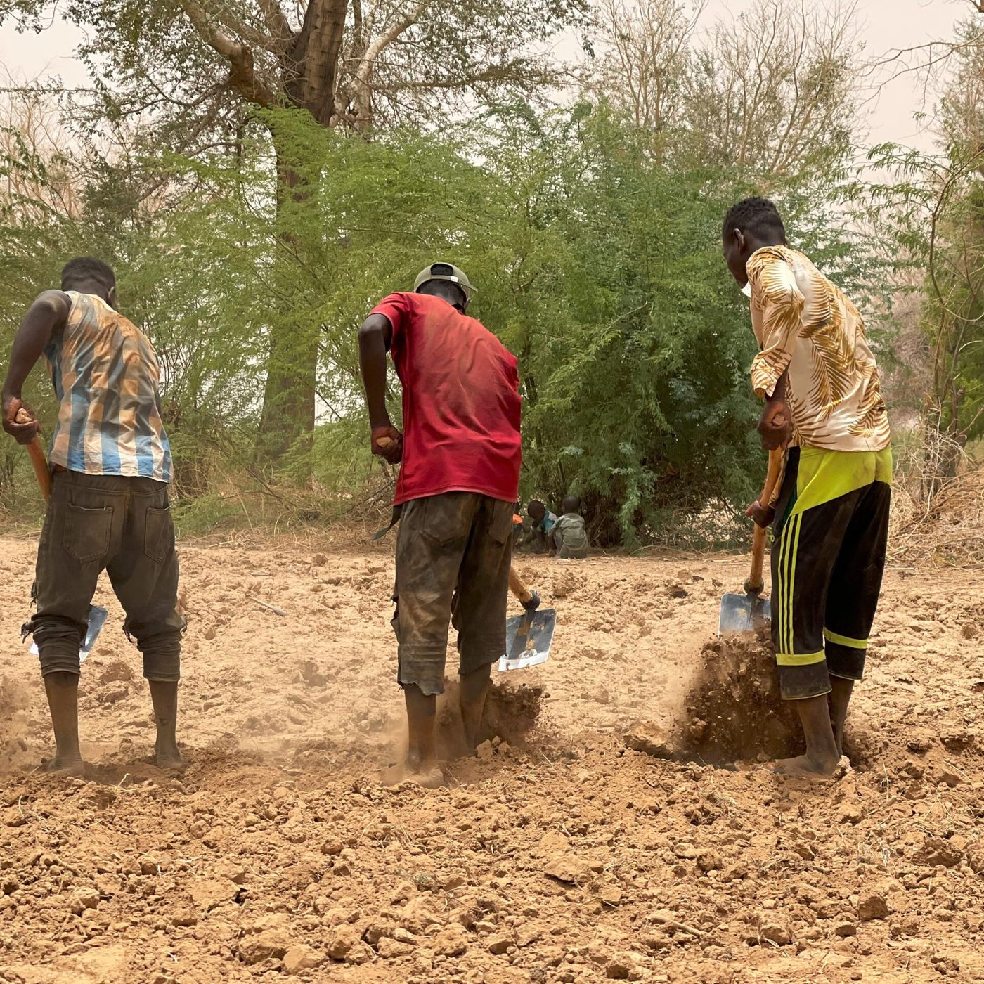 Culture, campagne agricole et prévention de la rage (Le Niger sur Kalangou) episode artwork