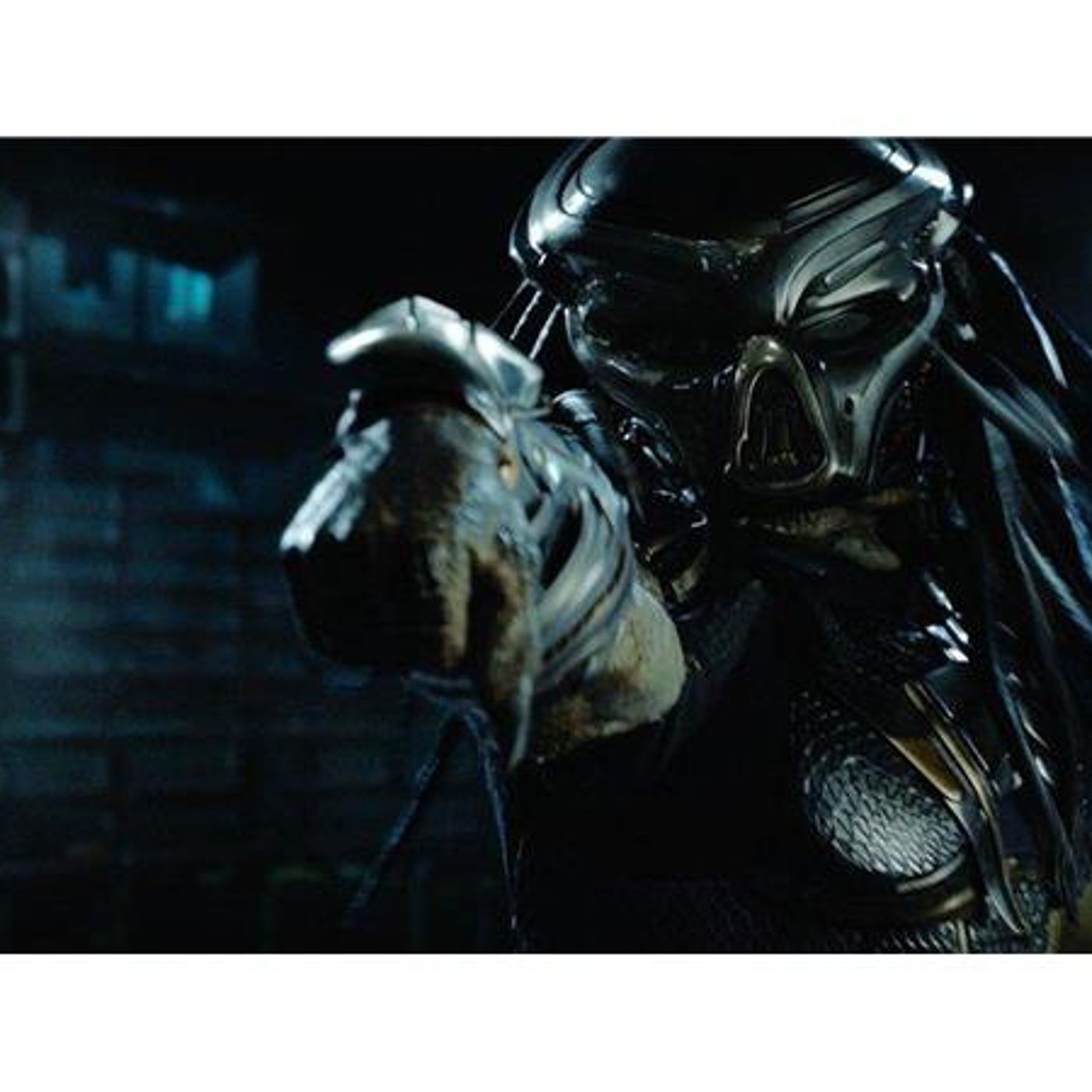 What's More Deadly? THE PREDATOR? Or Reviews Of LIFE ITSELF? episode artwork