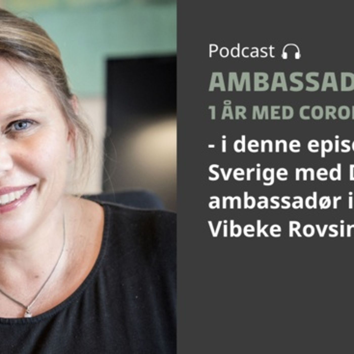 Ambassadørerne