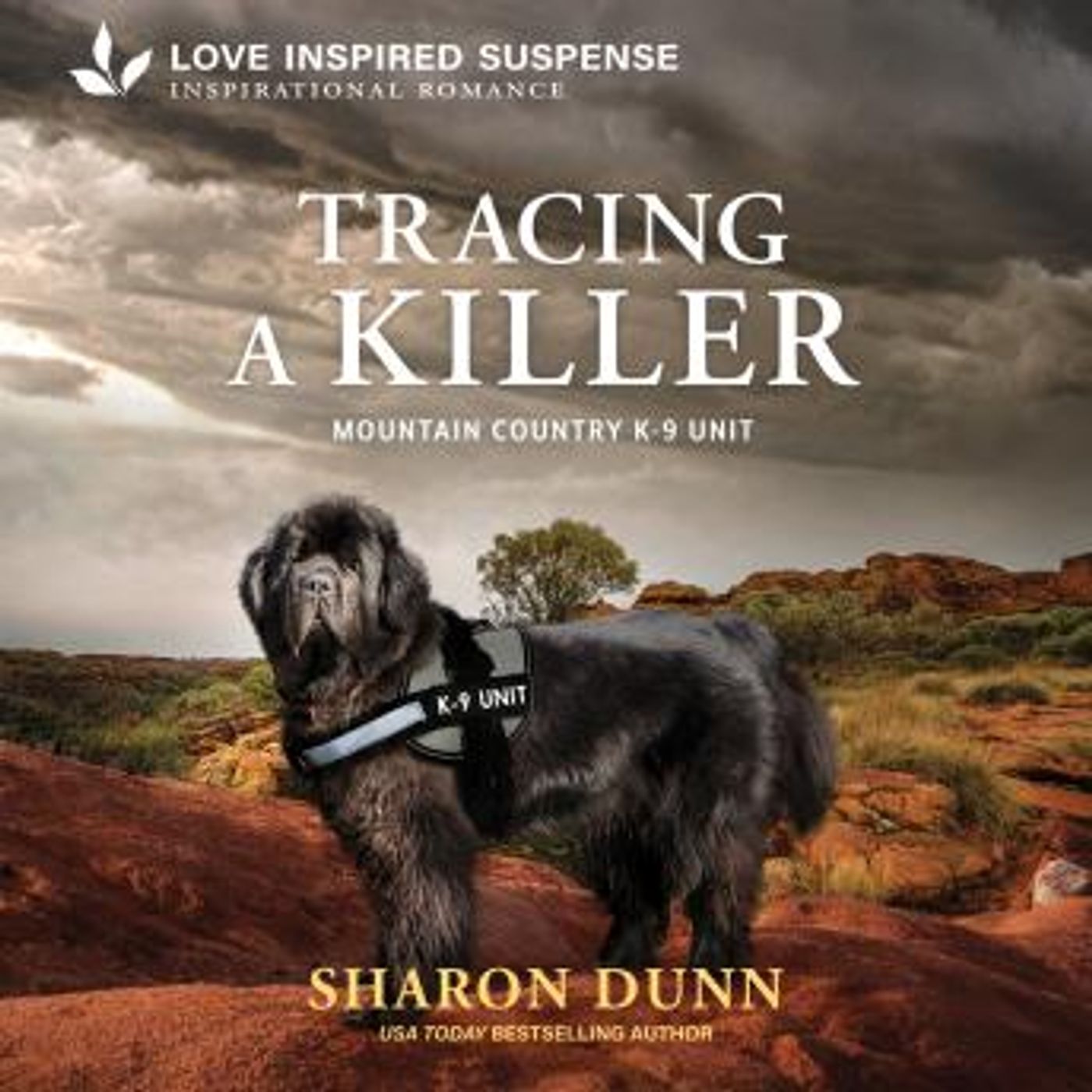 Grab the Essential Free Audiobooks in Romance, Mystery