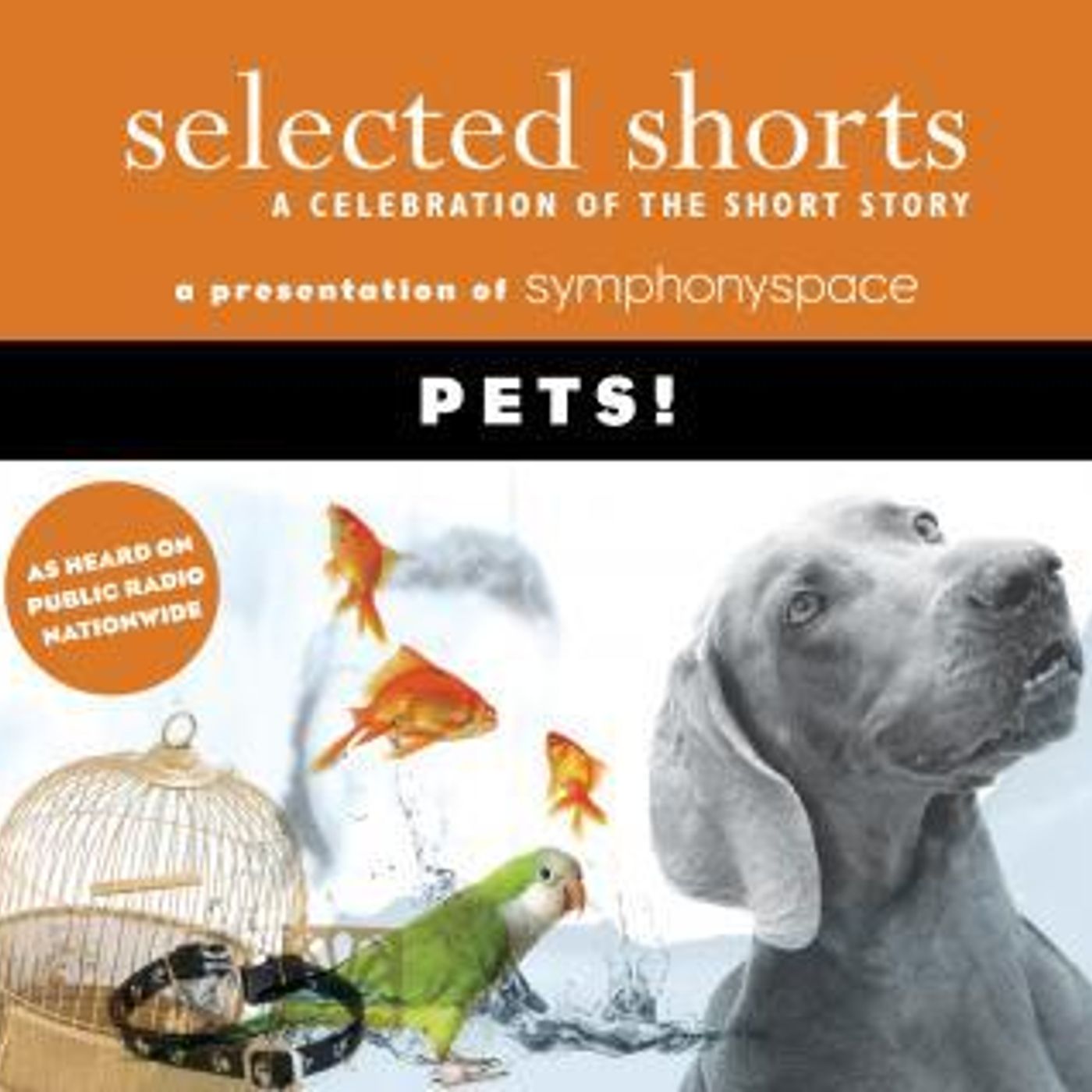 Access Essential Full Audiobooks in Literature, Short Stories