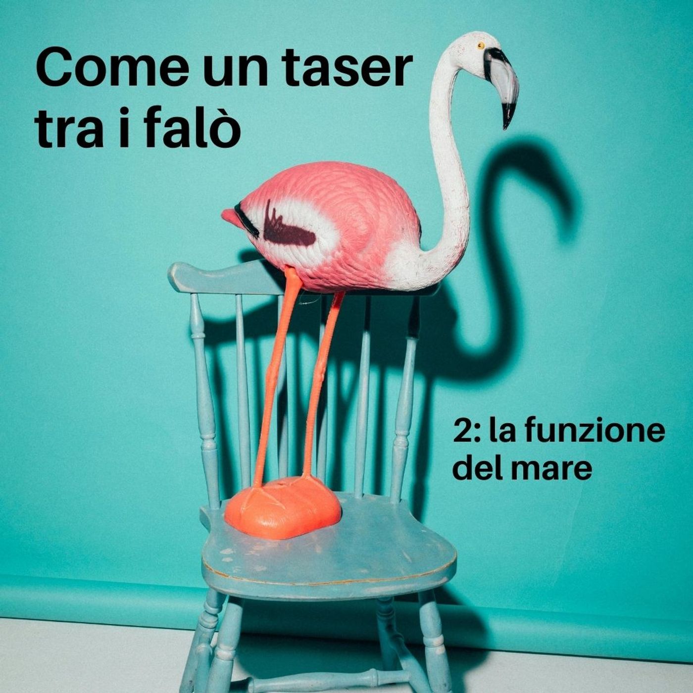 Come un taser tra le rose