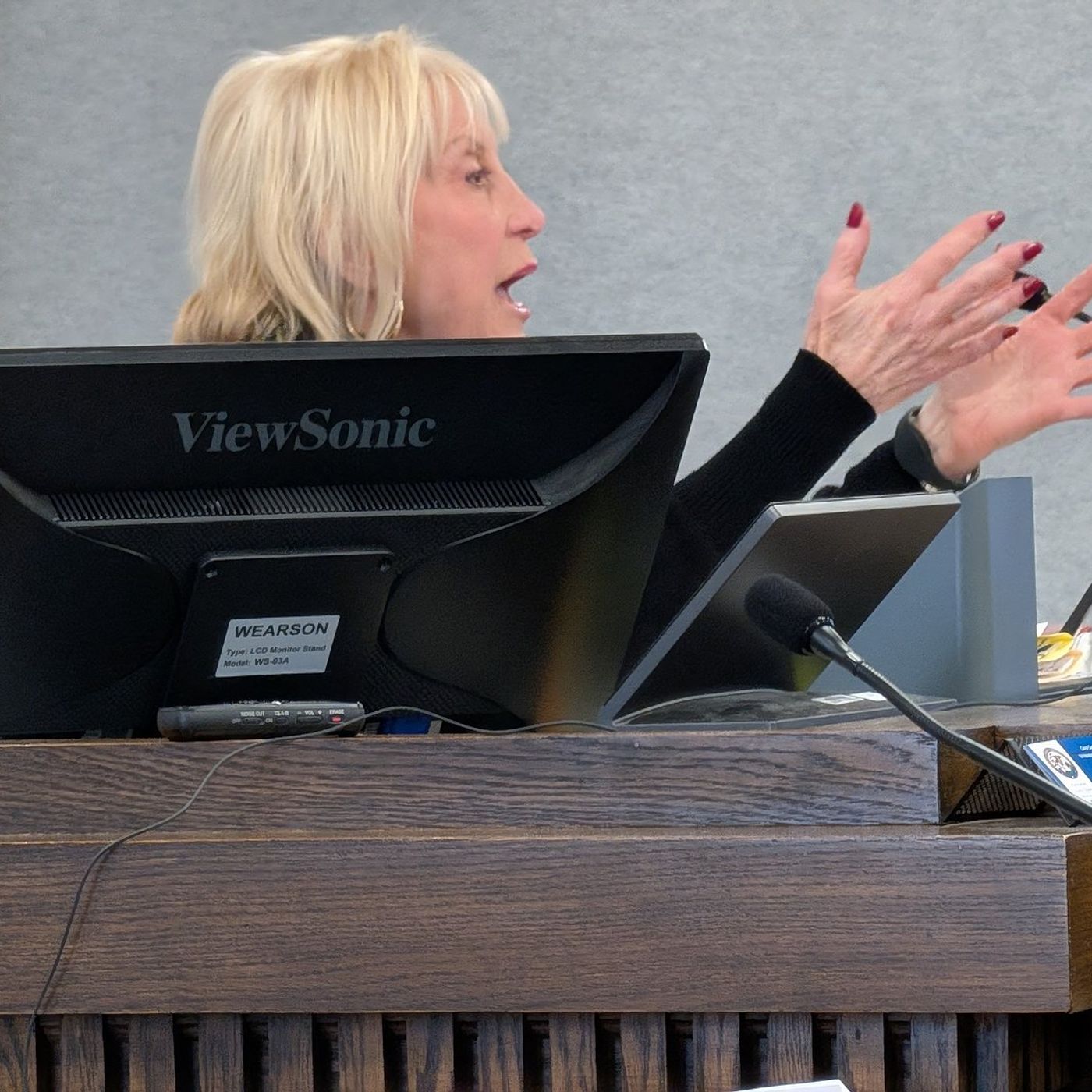 Kankakee County judge rules no TV cameras will be allowed in courtroom during Harris trial episode artwork