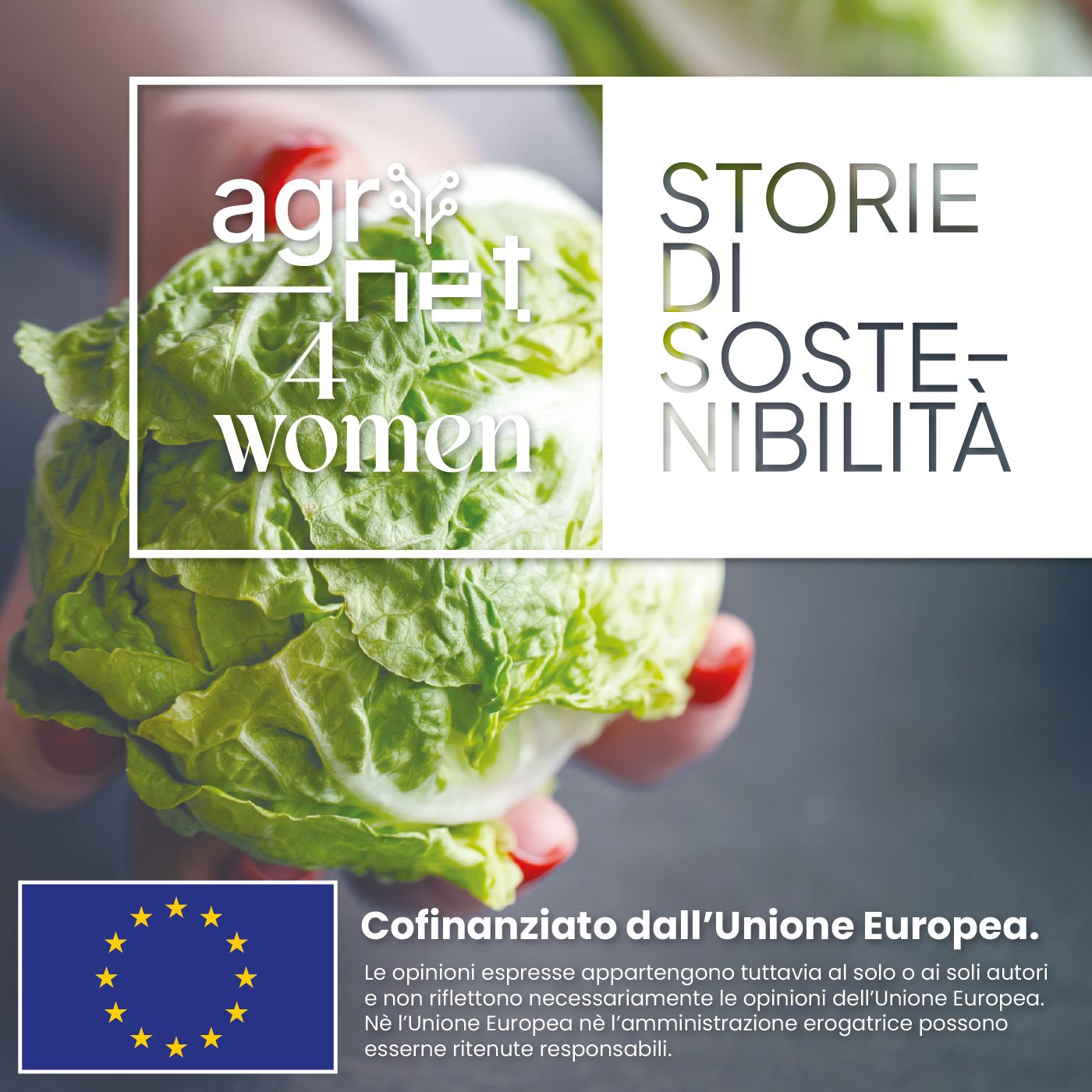 Campi Flegrei: La Tradizione Ortofrutticola Abbraccia L'innovazione episode artwork
