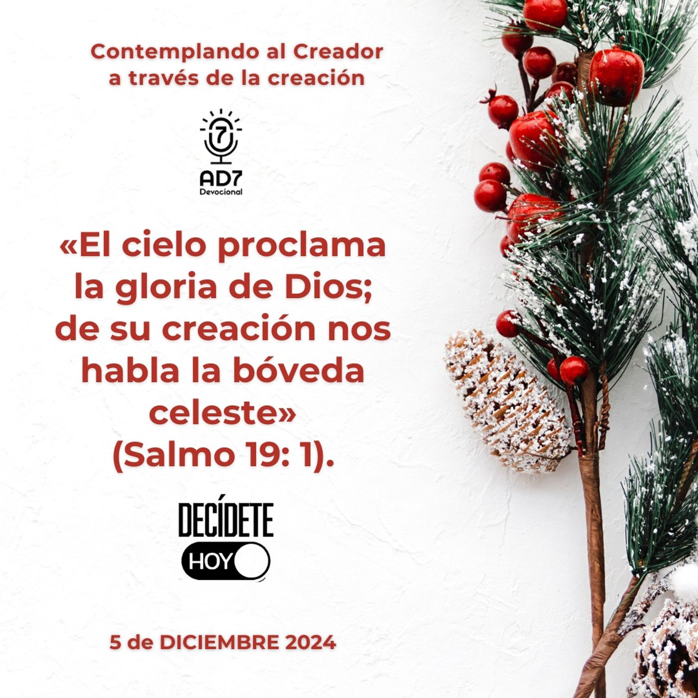 Contemplando al Creador a través de la creación | Devocional de Jóvenes | 5 de diciembre 2024