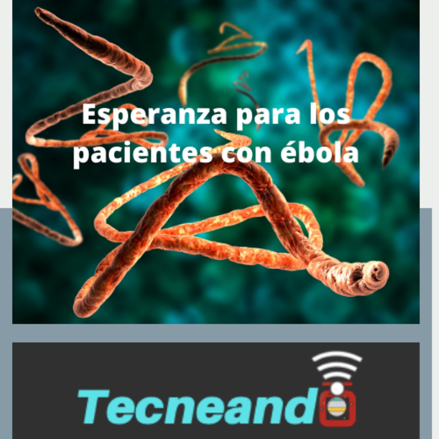 Tecneando