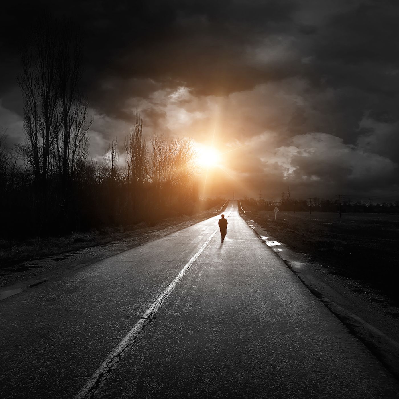 Gorehound's Metal Session