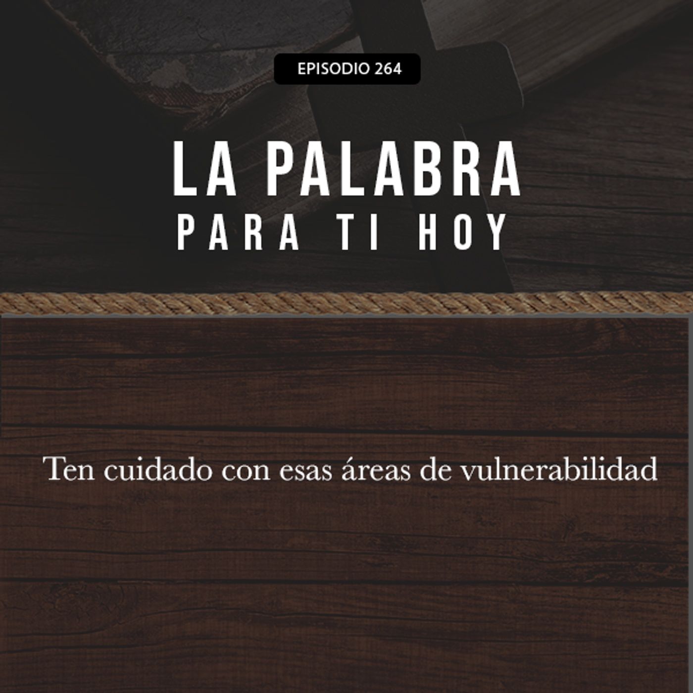 264: Ten cuidado con esas áreas de vulnerabilidad episode artwork