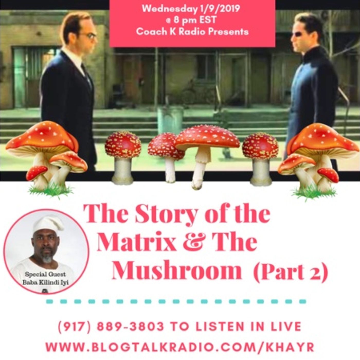 Stars, F.R.O.G.s and Mushrooms