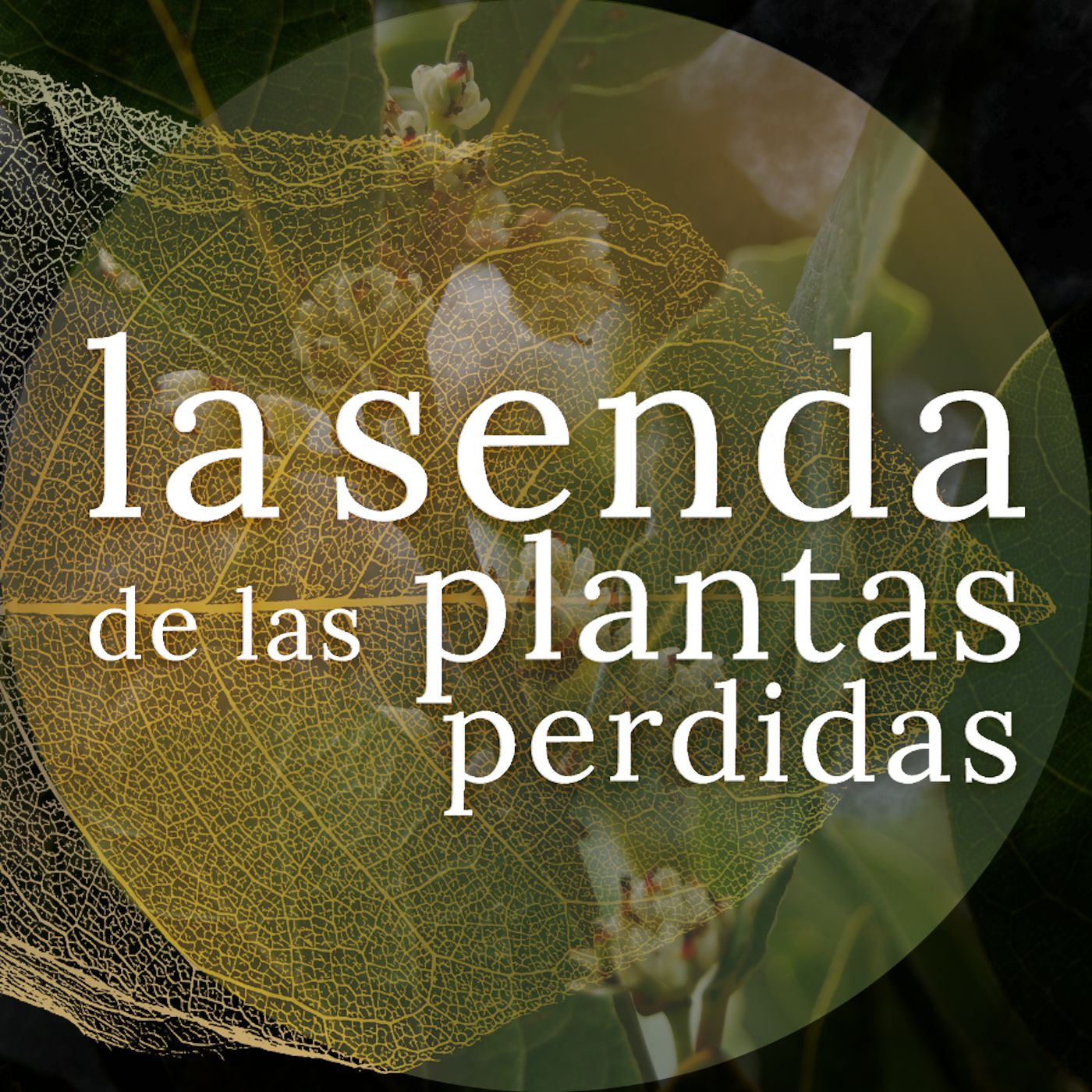 La Senda de las Plantas Perdidas