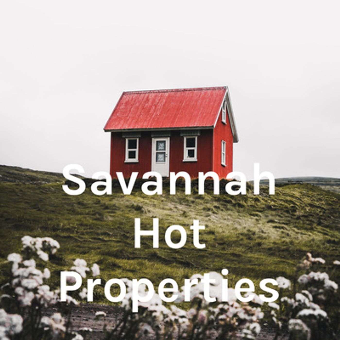 Savannah Hot Properties